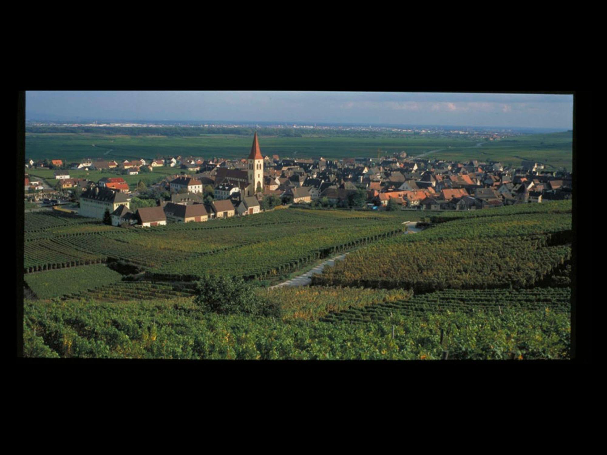 Ibis Strasbourg Sud La Vigie 3*