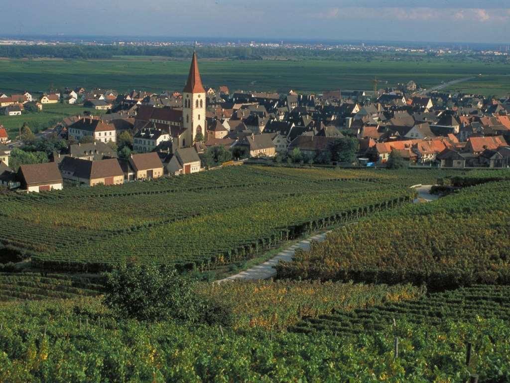 Ibis Strasbourg Sud La Vigie 3*